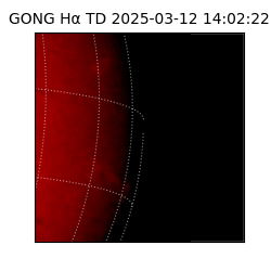 gong - 2025-03-12T14:02:22