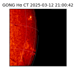 gong - 2025-03-12T21:00:42