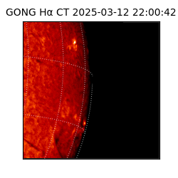 gong - 2025-03-12T22:00:42