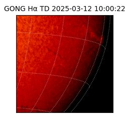 gong - 2025-03-12T10:00:22
