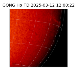gong - 2025-03-12T12:00:22