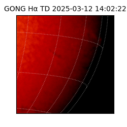 gong - 2025-03-12T14:02:22