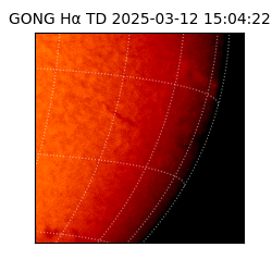 gong - 2025-03-12T15:04:22