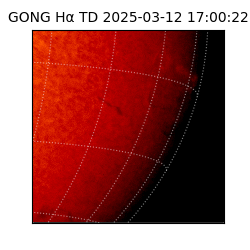 gong - 2025-03-12T17:00:22
