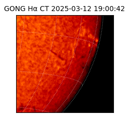 gong - 2025-03-12T19:00:42