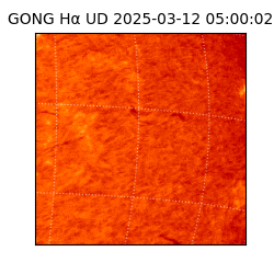 gong - 2025-03-12T05:00:02