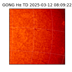 gong - 2025-03-12T08:09:22
