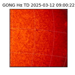 gong - 2025-03-12T09:00:22