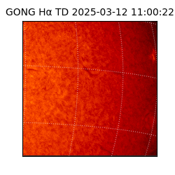gong - 2025-03-12T11:00:22