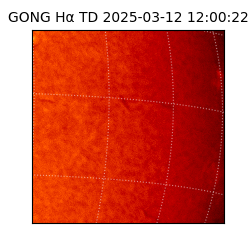 gong - 2025-03-12T12:00:22