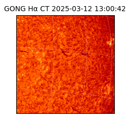 gong - 2025-03-12T13:00:42
