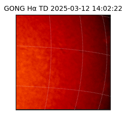 gong - 2025-03-12T14:02:22