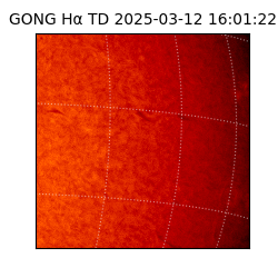 gong - 2025-03-12T16:01:22