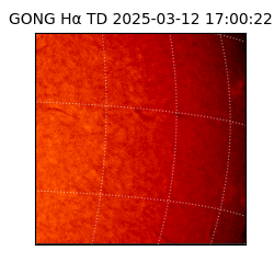 gong - 2025-03-12T17:00:22