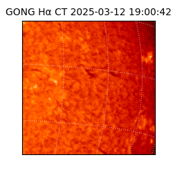 gong - 2025-03-12T19:00:42
