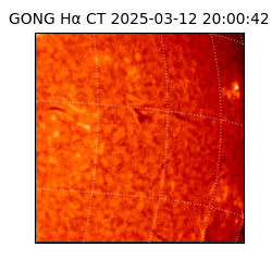 gong - 2025-03-12T20:00:42