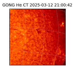 gong - 2025-03-12T21:00:42