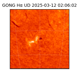 gong - 2025-03-12T02:06:02