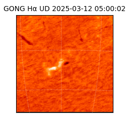 gong - 2025-03-12T05:00:02