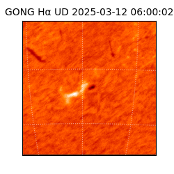 gong - 2025-03-12T06:00:02