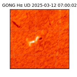 gong - 2025-03-12T07:00:02