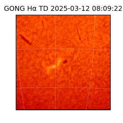 gong - 2025-03-12T08:09:22