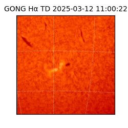 gong - 2025-03-12T11:00:22