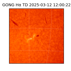 gong - 2025-03-12T12:00:22