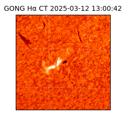 gong - 2025-03-12T13:00:42