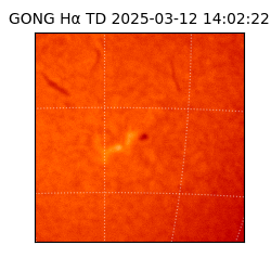 gong - 2025-03-12T14:02:22