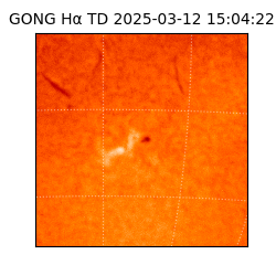 gong - 2025-03-12T15:04:22