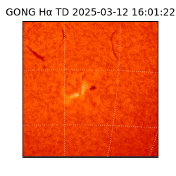 gong - 2025-03-12T16:01:22