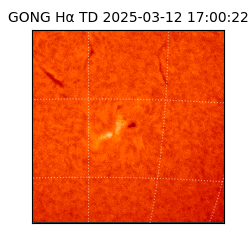 gong - 2025-03-12T17:00:22