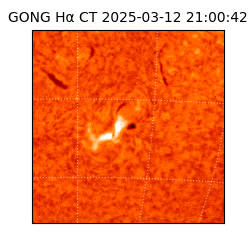 gong - 2025-03-12T21:00:42