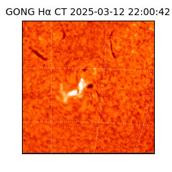 gong - 2025-03-12T22:00:42