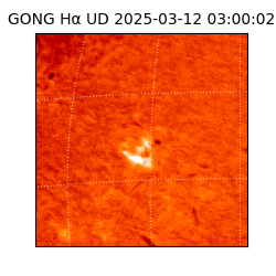 gong - 2025-03-12T03:00:02