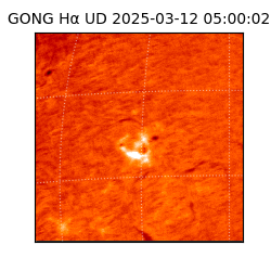 gong - 2025-03-12T05:00:02