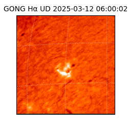 gong - 2025-03-12T06:00:02