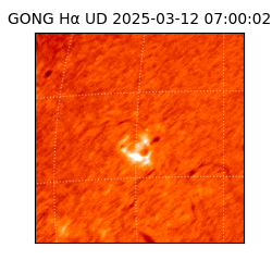 gong - 2025-03-12T07:00:02