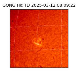 gong - 2025-03-12T08:09:22