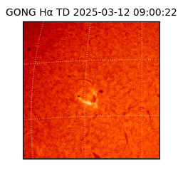 gong - 2025-03-12T09:00:22