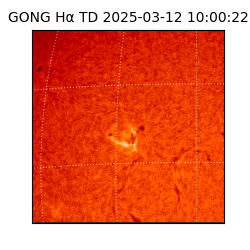 gong - 2025-03-12T10:00:22