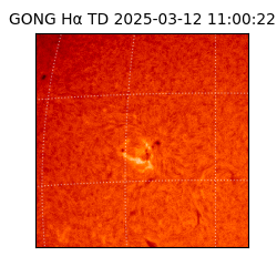 gong - 2025-03-12T11:00:22