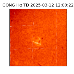 gong - 2025-03-12T12:00:22