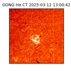 gong - 2025-03-12T13:00:42