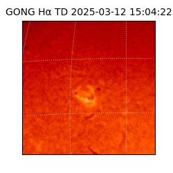 gong - 2025-03-12T15:04:22