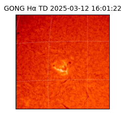 gong - 2025-03-12T16:01:22