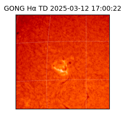 gong - 2025-03-12T17:00:22