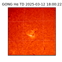 gong - 2025-03-12T18:00:22