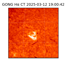 gong - 2025-03-12T19:00:42